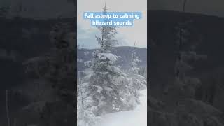 Blizzard Sounds for Sleep 😴 Blizzard Sounds for Sleep 😴
