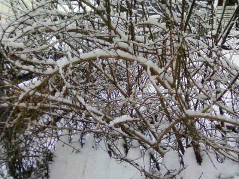 First Day of Spring - YouTube