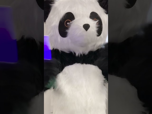 ジョークスのサムネイル