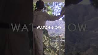 Terence Etc. - Stay #shorts