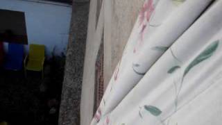 Humo De Extractores 8 4 2007