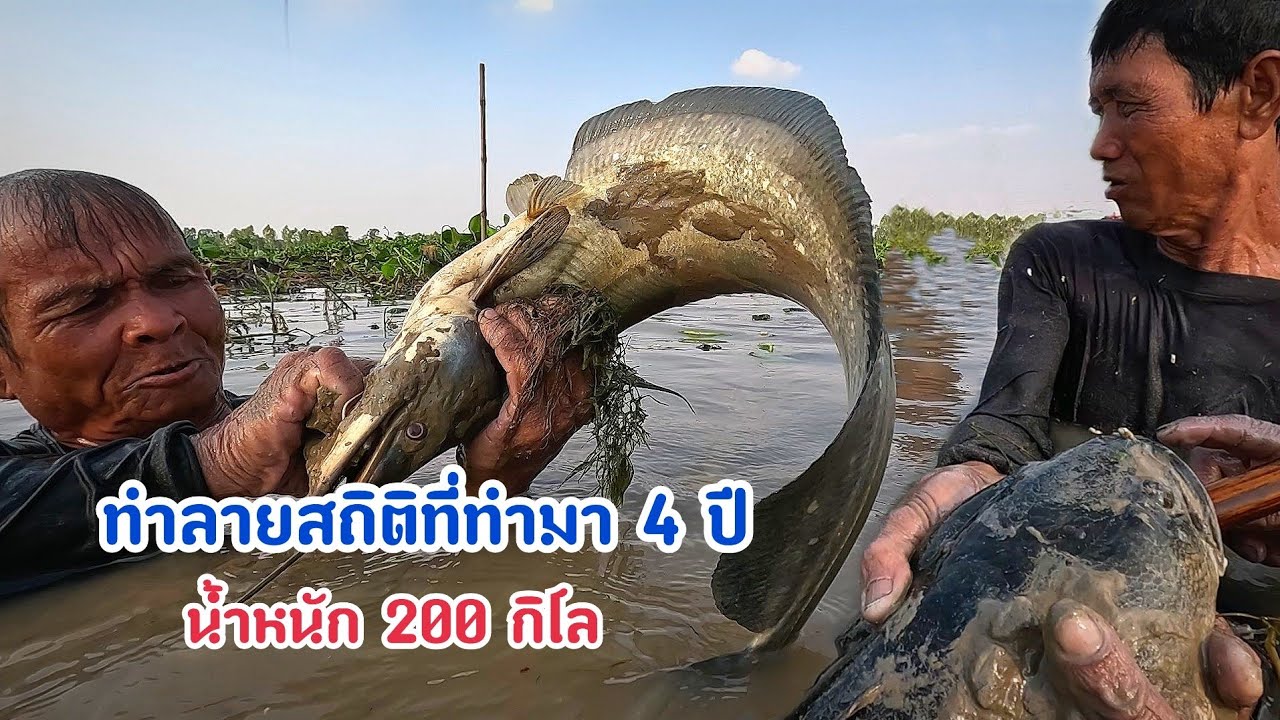 ทำลายสถิติครั้งใหญ่ที่สุด ที่ช่องหนุ่มอ้นเคยทำมาตลอด 4 ปี โคตรปลา 200 กิโล บ้าไปแล้ว