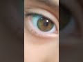 eyes