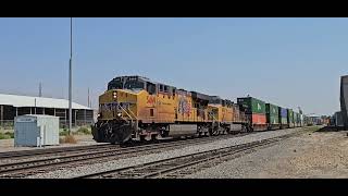 Hot Z In The Hot Weather At Weiser, Id 8124