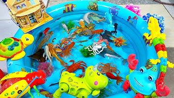 Động Vật Dễ Thương,Âm Thanh Động Vật,Cá Mập,Cá Heo,Cá Chép,Cá Koi,Cá Đuối,Bọ Ngựa,Chuồn Chuồn,Animas