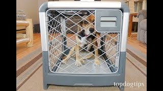 Revol Dog Crate by Diggs Review and Testing