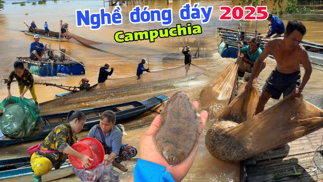 Đóng đáy NƯỚC CHẢY XIẾT mùa nước nổi nghề bà cậu trúng cá là kiếm tiền triệu Campuchia