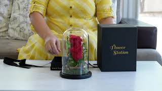 Forever (infinity) rose unboxing