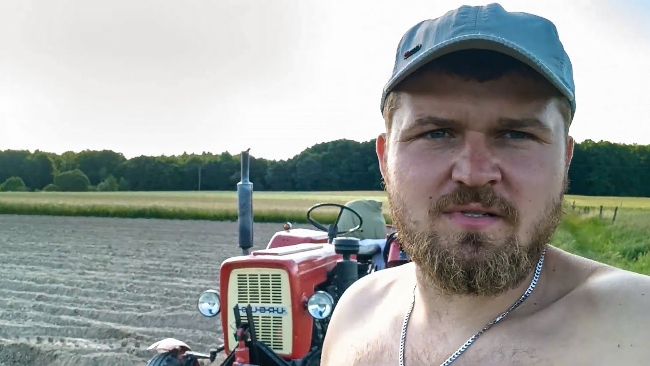 EKSTREMALNIE PÓŹNY SIEW MARCHWI NA REDLINACH