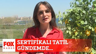 Sertifikalı tatil gündemde... 25 Nisan 2020 Gülbin Tosun ile FOX Ana Haber Hafta Sonu