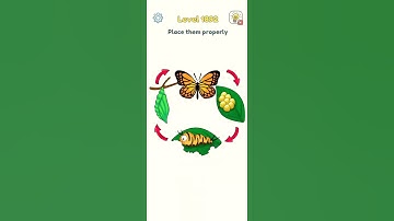 Dop2 gameplay #level 954 #shorts #dop2 #deleteonepart