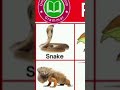 Part 21/ Types ofReptiles animal in the world