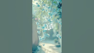 سورة الكهف #اكسبلور #تلاوه #راحة_نفسية #quran #قرآن #قران #explore #like #quraan