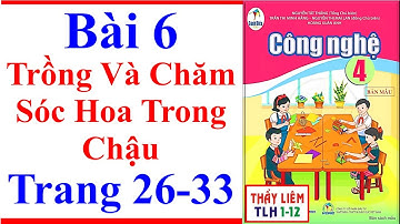 Công Nghệ Lớp 4 Bài 6 | Trồng Và Chăm Sóc Hoa Trong Chậu | Trang 26 – 33 | Cánh Diều