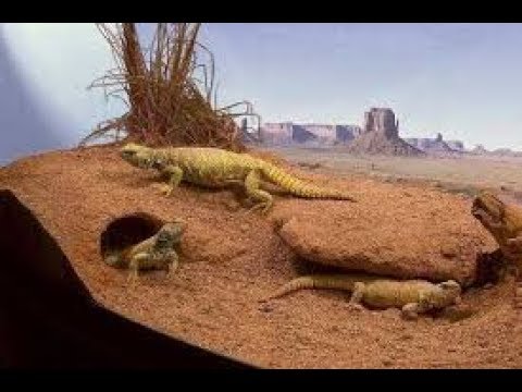 Tuto Sable Argileux Youtube