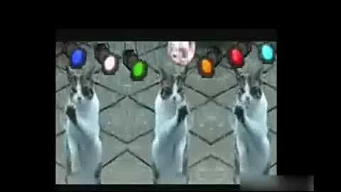 تحميل قطط ترقص وي وي