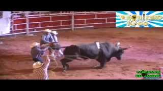 SUREÑO vs PUERCA DE QUERETARO. Rancho LA CANDELARIA De Federico Figueroa En Querétaro 2014