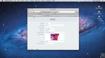 Primary And Foreign Keys