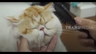Tips & Trik Foto Binatang | TAU GAK SIH (21/01/21)