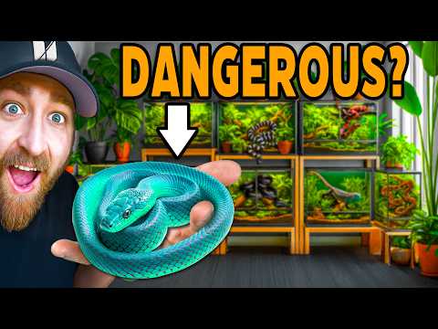 You Should Know This Before Getting A Pet Snake!