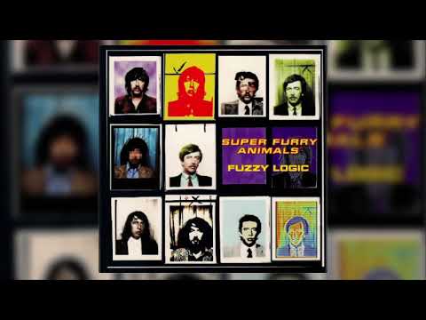 SUPER FURRY ANIMALS『FUZZY LOGIC』LP レコード Vinyl | Super Furry Animals | Fuzzy Logic (20th Anniversary