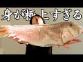 【やばい】市場で一際目立つ魚を見つけました。 thumbnail