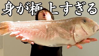 【やばい】市場で一際目立つ魚を見つけました。