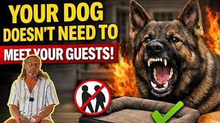 Your Dog Doesnt Need To Meet Your Guests Do This Instead