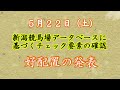 【競馬】新潟競馬場データベースに基づくチェック要素の確認　好配置等の発表