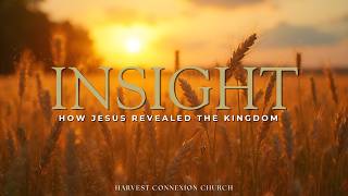 Insight Pt. 11