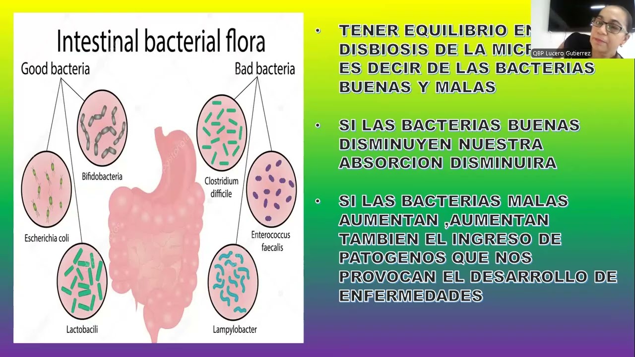 COMO PRODUCIR TU PROPIO ACIDO BUTIRICO