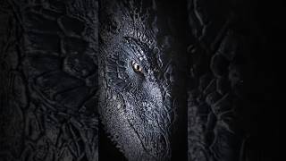 He Is Dragon 2015 When Love Turns Into Destiny..