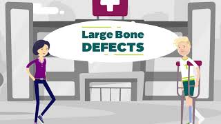EU Research Project SBR - Improving Treatment Options for Patients with Large Bone Defects