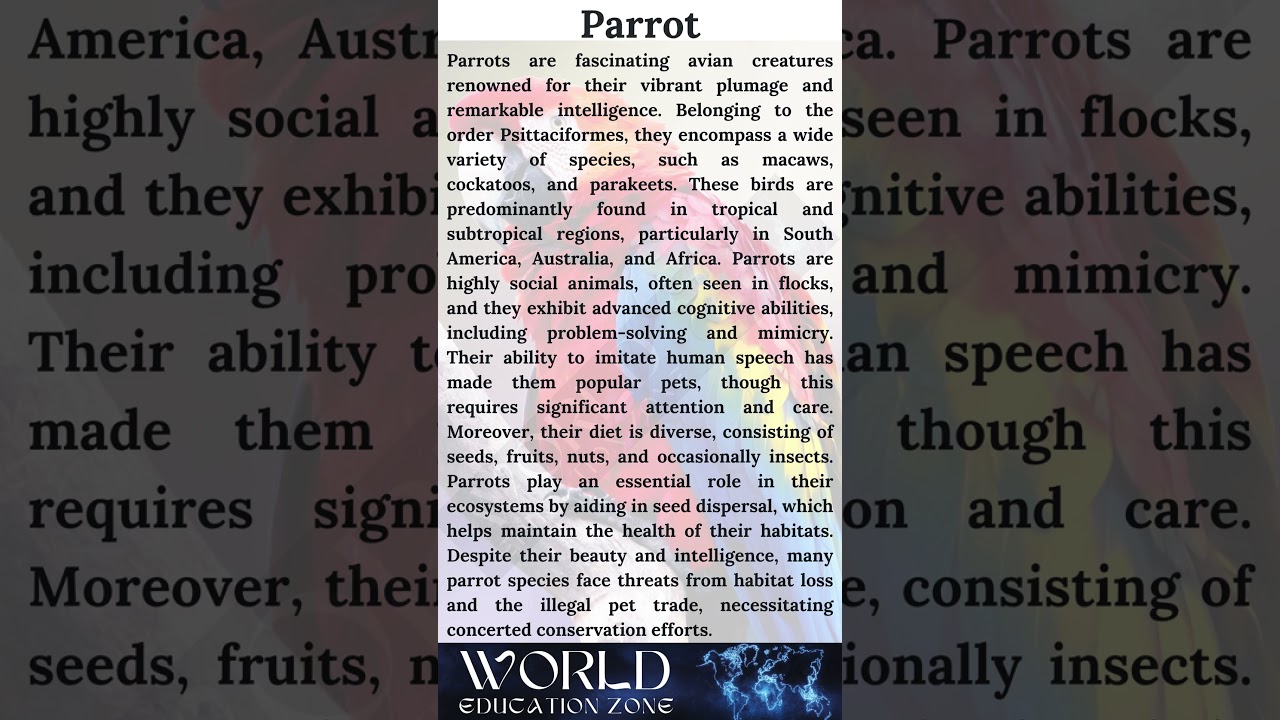 Parrot essay in English 