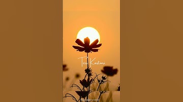 ✨Man mast magan❣️🥀|Arijit singh|WhatsApp status|love status|4k full screen status#shortsfeed#shorts