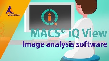 Image analysis software for true ultra high content data on the MACSima™ Imaging System