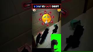 👉 Fast & Furrious 😂🔥|#shorts #viralshorts #animals #funny