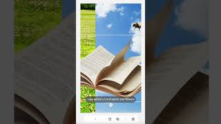 Create the Ultimate Spring 2023 Moodboard in Minutes! #shorts #AdobeExpress #editing #socialmedia