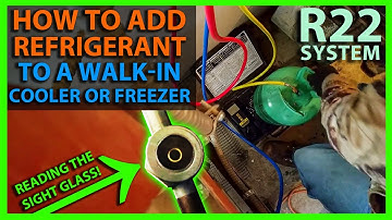 How to Add Freon or Refrigerant to a Walk In Cooler or Freezer with Sight Glass