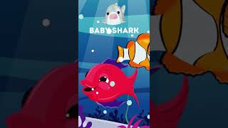 Baby Shark Song Baby Shark Shorts More