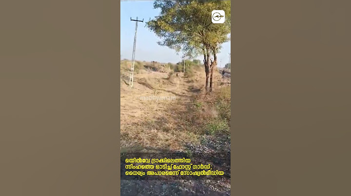 റെയിൽവേ ട്രാക്കിലെത്തിയ സിംഹത്തെ ഓടിച്ച് ഫോറസ്റ്റ് ഗാര്‍ഡ്; ധൈര്യം അപാരമെന്ന് സോഷ്യൽമീഡിയ I Lion I