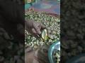 plastic ke note || #shorts #viral#trending #food #viralvideo #youtubeshorts #recipe #ytshorts