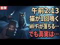 午前2:13、猫が1回だけ鳴くとWi-Fiが落ちる…でも本当に切れていたのは“電波”じゃなかった。