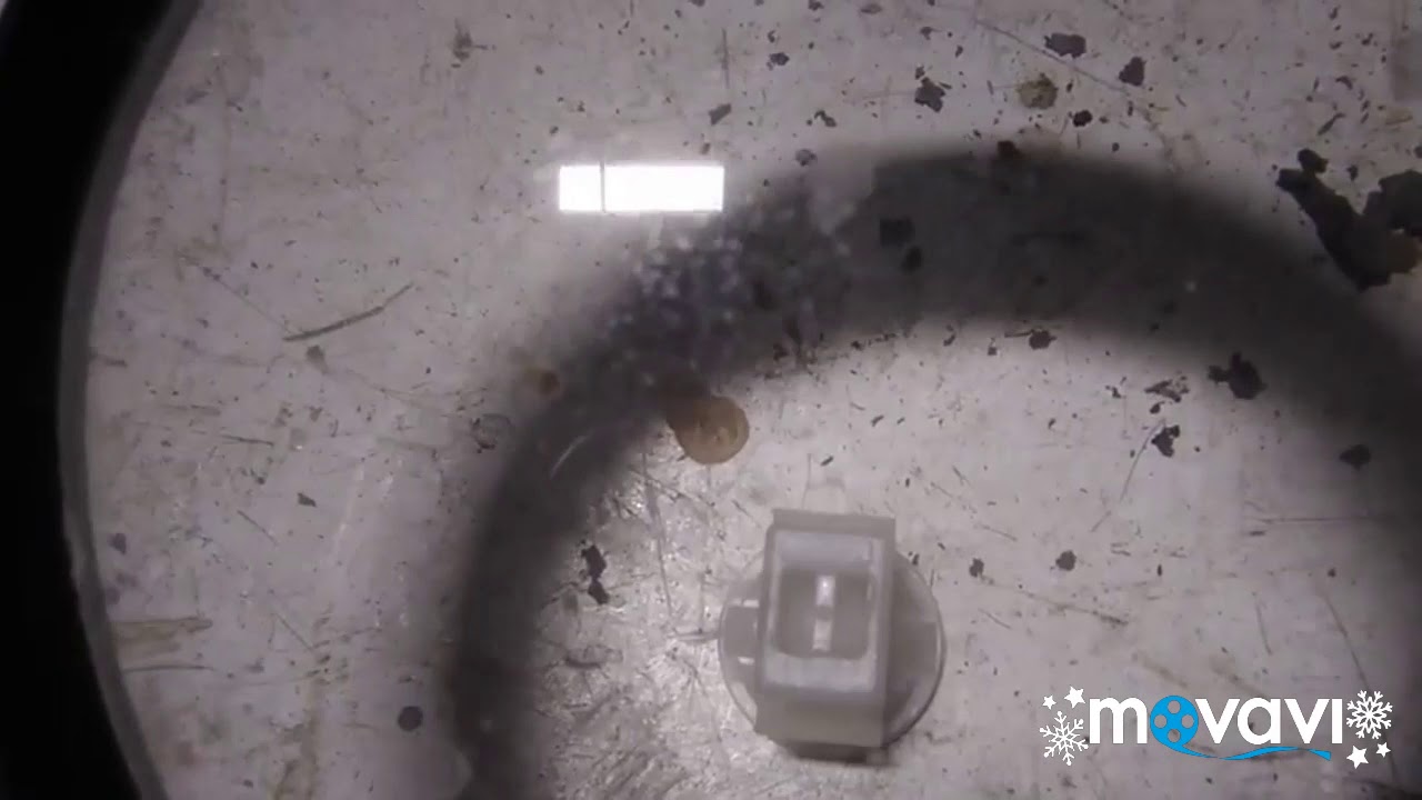 Распиновка фара туарег