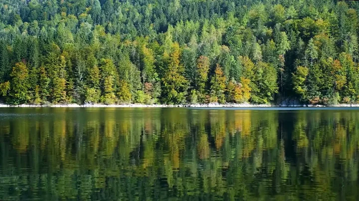8hrs | 4K🌿Birds Singing on the Canadian Lakeshore - Moraine Lake, Canada🌳Relaxing Nature Sounds