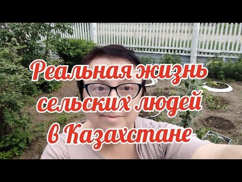 КАЗАХСТАН!Как правильно сажать картошку,знает только МАМА/Устала работать/Готовлю на несколько дней/