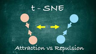 t-SNE: probability, perplexity, and optimization dynamics - Dimensionality Reduction (5/7) Profile