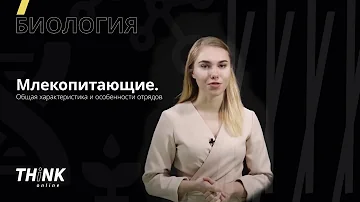 Млекопитающие 2.0. Общая характеристика и особенности отрядов | Биология