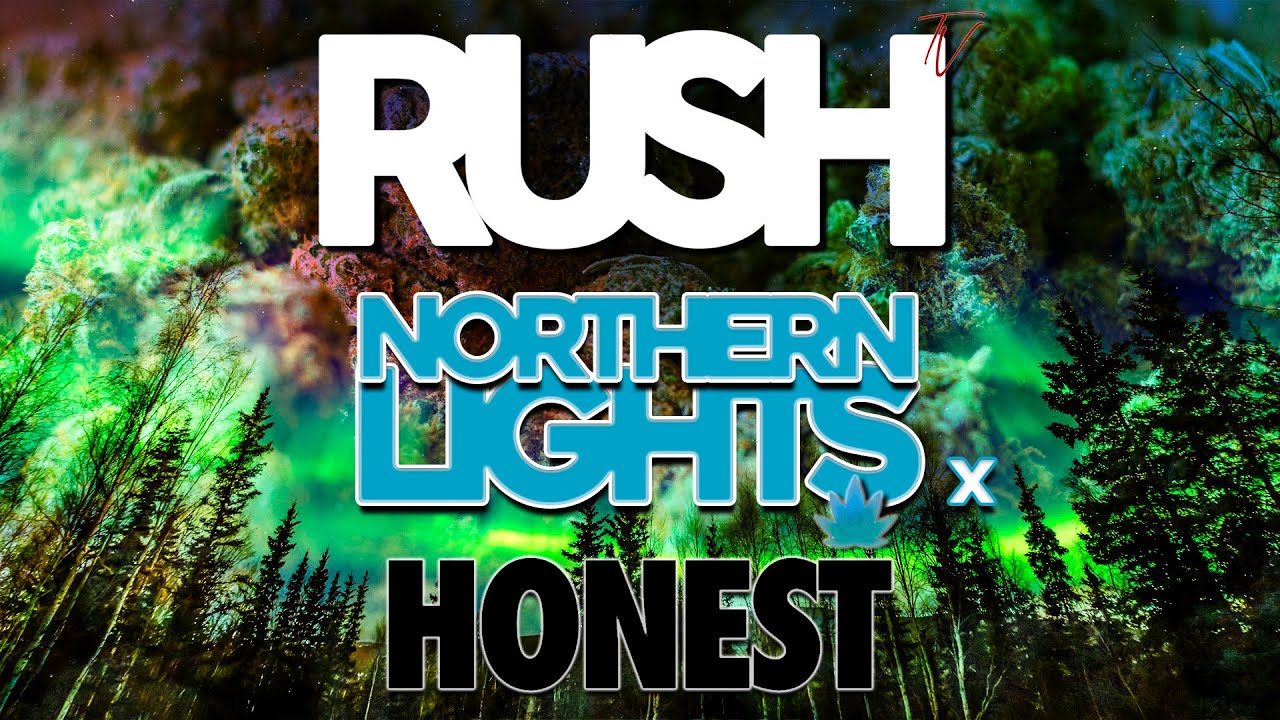 JE TESTE LE CBD - NLX BY HONEST🇨🇭🌱 UNE GREEN-HOUSE MAJESTUEUSE💃🏻