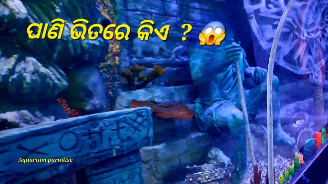 🐬ଭାରତର ସବୁଠାରୁ ଲମ୍ବା Water Tunnel 😱  ||Part-2||  Aquarium Paradise Vlog 🔥 part-2  ||Anil Ghadai 